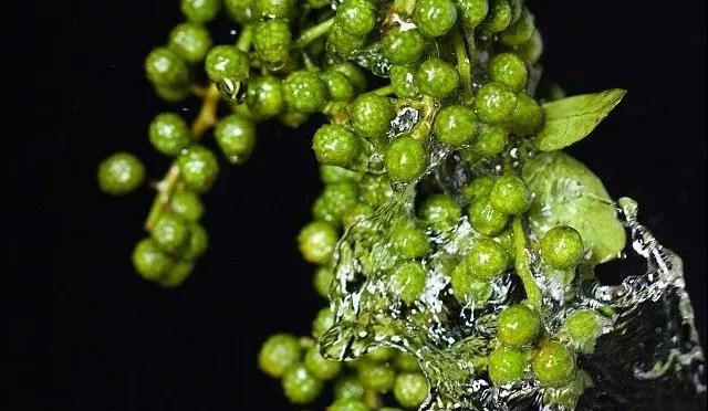 微信圖片_20200518170623